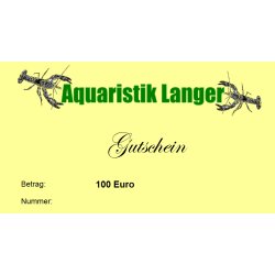 Geschenkgutschein 100 Euro Aquariumzubehör Garnelen Krebse Schnecken günstig kaufen Aquaristik-Langer