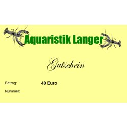 Geschenkgutschein 40 Euro für Aquaristik Teich Terraristik günstig kaufen Aquaristik-Langer