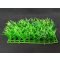 Hobby Plant Mat 4 Pflanzenmatte Grasmatte 12,5x25 cm kaufen Aquaristik-Langer