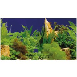Fotorückwand Pflanzen 2/7 50 cm hoch endlos Aquarienrückwand kaufen Aquaristik-Langer