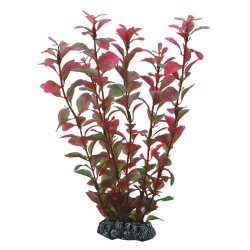 Hobby Ludwigia 25 cm Kunststoffpflanze für Aquarien günstig kaufen Aquaristik-Langer