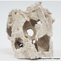 Kleiner Sandstein Lochstein Dekosteine günstig kaufen Aquaristik-Langer