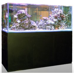 Aquarienkombination Blau Gran Cubic Experience 92 mit Unterschrank schwarz