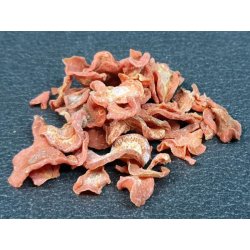 Hokkaidokürbis-Chips Garnelenfutter Krebsfutter Naturfutter günstig kaufen Aquaristik-Langer