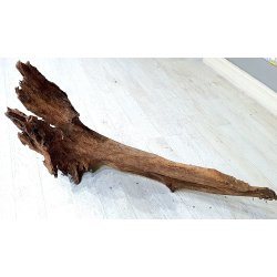 Mangrovenwurzel Unikat_3 ca.60x40 cm
