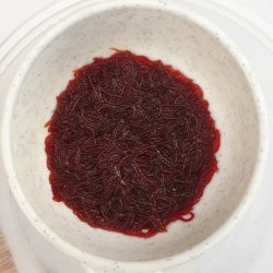 Rote M&uuml;ckenlarven Lebendfutter Beutel 45 ml