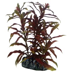 Hobby Nesaea, k&uuml;nstliche Pflanze