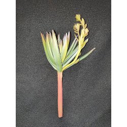 Haworthia Pflanze k&uuml;nstliche Terrarienpflanze 15 cm hoch