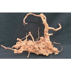Fingerwurzel Mangrovenwurzel Größe L Unikat Einzelstück günstig kaufen Aquaristik-Langer