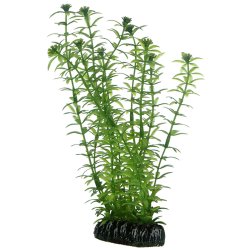 Hobby Lagarosiphon, künstliche Pflanze