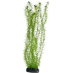 Hobby Lagarosiphon, künstliche Pflanze