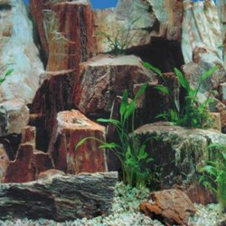 Fotorückwand Steine 1/2 120x50 cm Fotofolie günstig kaufen Aquaristik-Langer