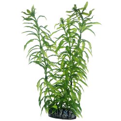 Hobby Heteranthera, k&uuml;nstliche Pflanze