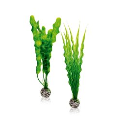 biOrb Pflanzen Set M grün