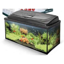 Aquarium Aqua 4 family, 80x35x40, 112 Liter günstig kaufen Aquaristik-Langer
