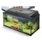 Aquarium Aqua 4 family, 80x35x40, 112 Liter günstig kaufen Aquaristik-Langer